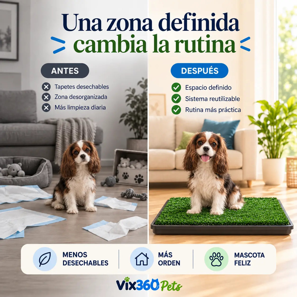 Perro utilizando el tapete sanitario reutilizable