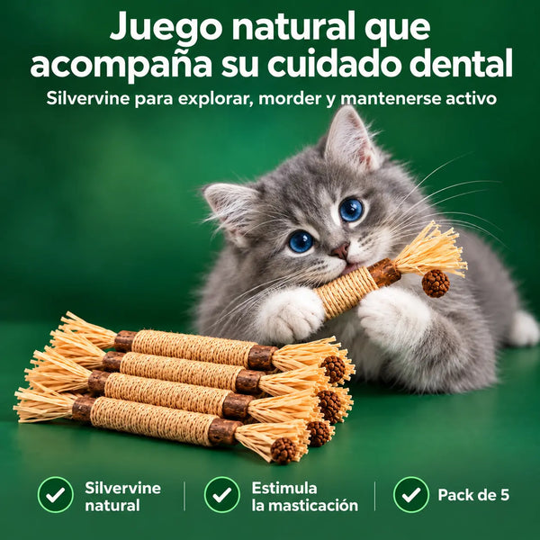 Palitos Dentales De Silvervine Para Gatos X5