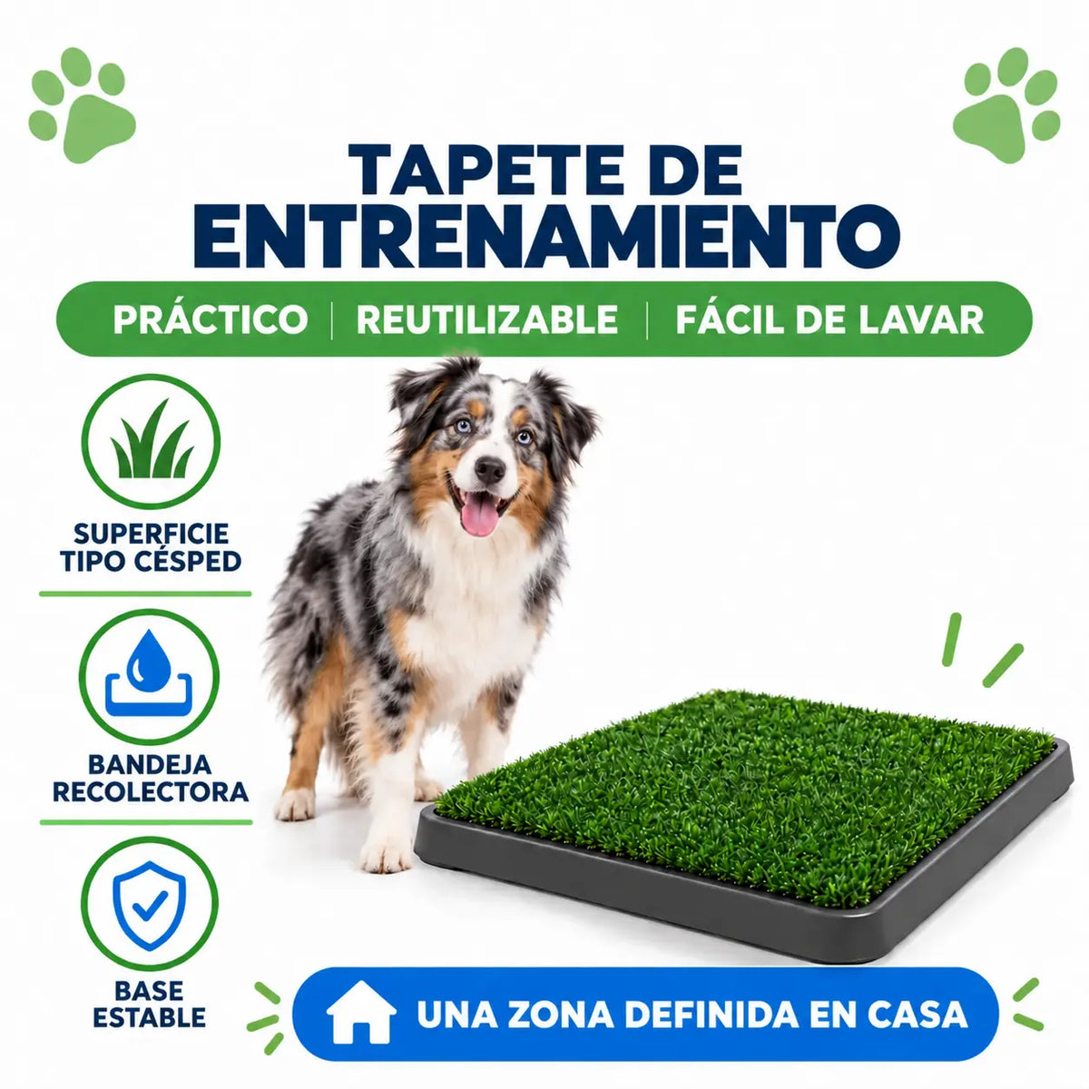 Tapete Sanitario Para Entrenar Mascotas