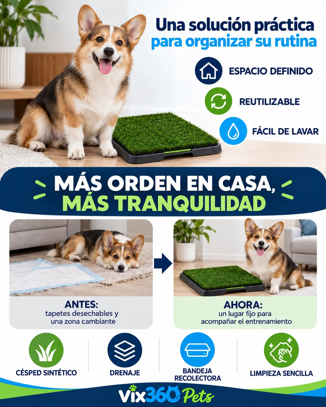 Guía de rutina del tapete de entrenamiento